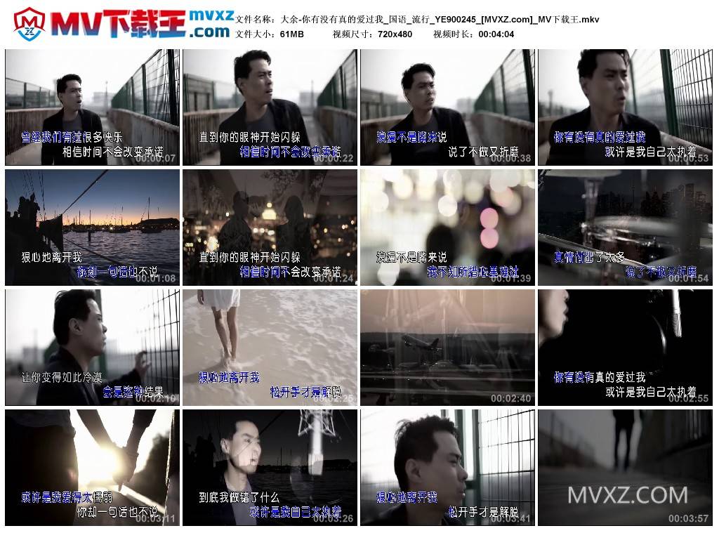 大余-你有没有真的爱过我_国语_流行_YE900245